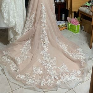 Beautiful Champagne Wedding Gown